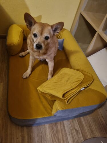 Hnedá Útulňa photo review