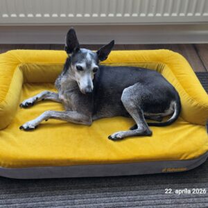 Sivo-žltá Rozhľadňa photo review