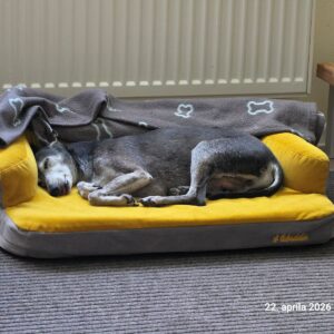 Sivo-žltá Rozhľadňa photo review