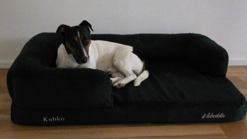 Hnedá Útulňa photo review