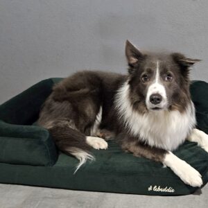 Hnedá Útulňa photo review