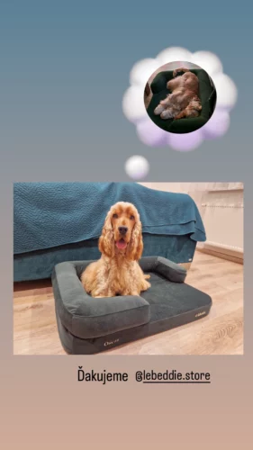 Hnedá Útulňa photo review