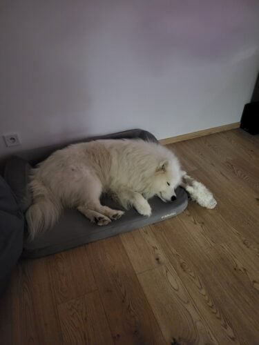 Hnedá Útulňa photo review