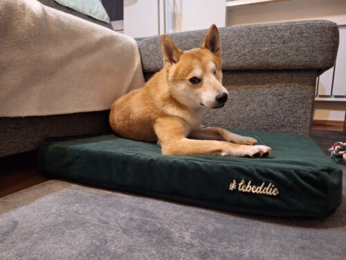 Sivá Čistinka photo review