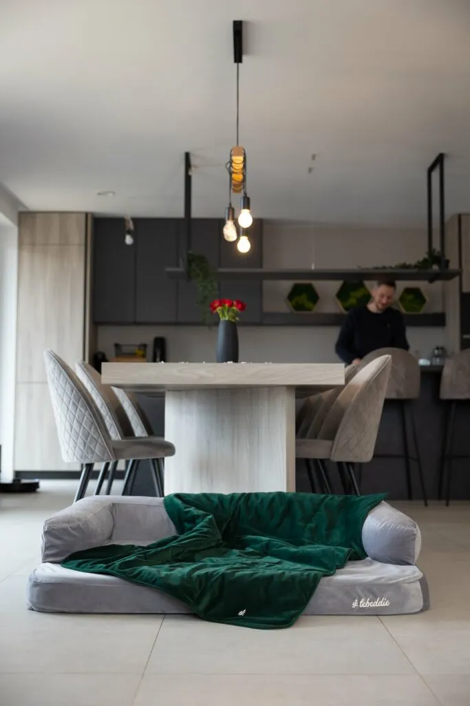 siva rozhladna so zelenou dekou