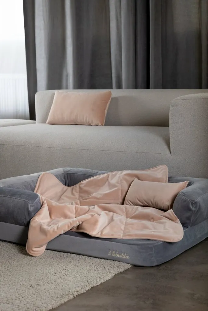 Sivá útulňa v interiéri