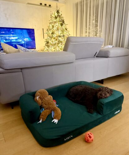 Hnedá Útulňa photo review