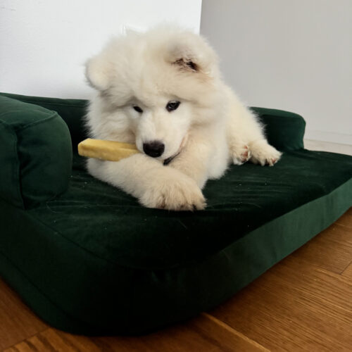 Sivá Rozhľadňa photo review