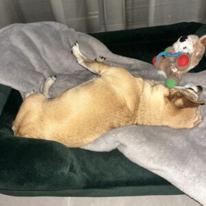 Hnedá Útulňa photo review