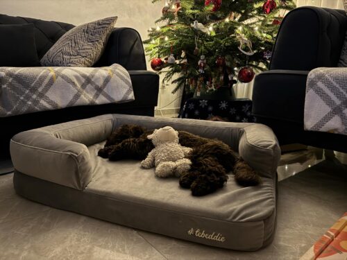 Hnedá Útulňa photo review