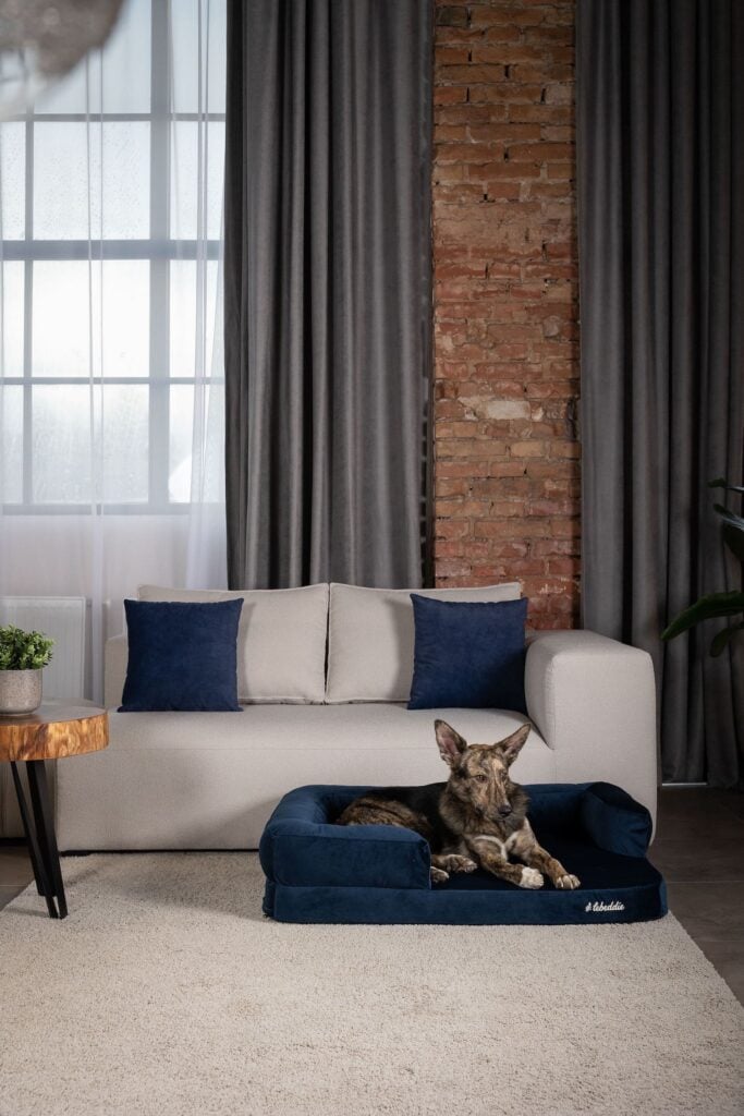 Modrá útulňa v interiéri