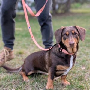 Vôdzka Láska photo review