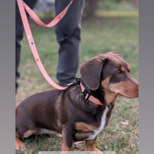 Vôdzka Láska photo review