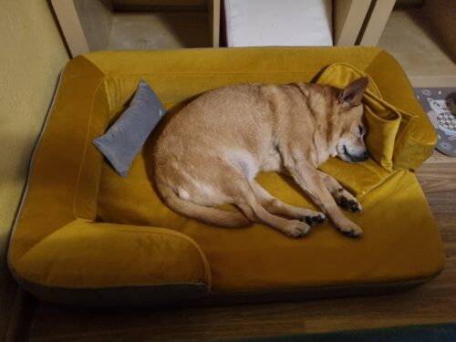 Hnedá Deka s Ovčou Vlnou photo review