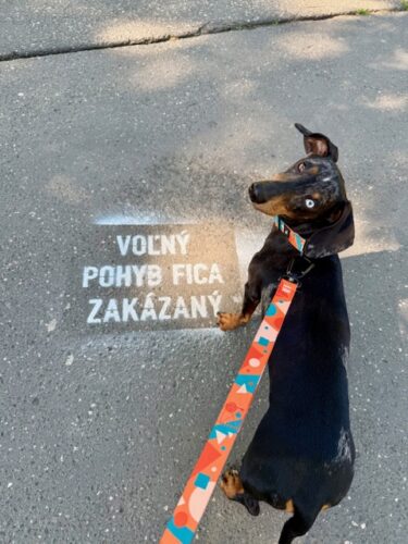 Handsfree vôdzka Porto photo review