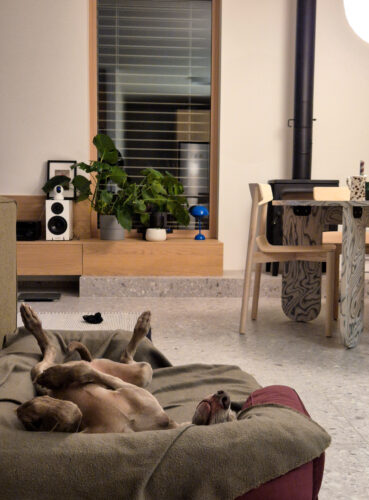 Hnedá Útulňa photo review