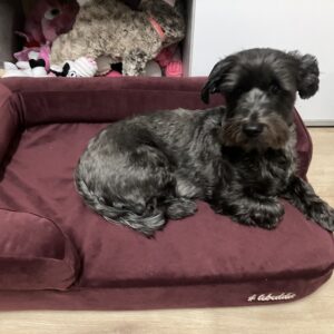 Hnedá Útulňa photo review