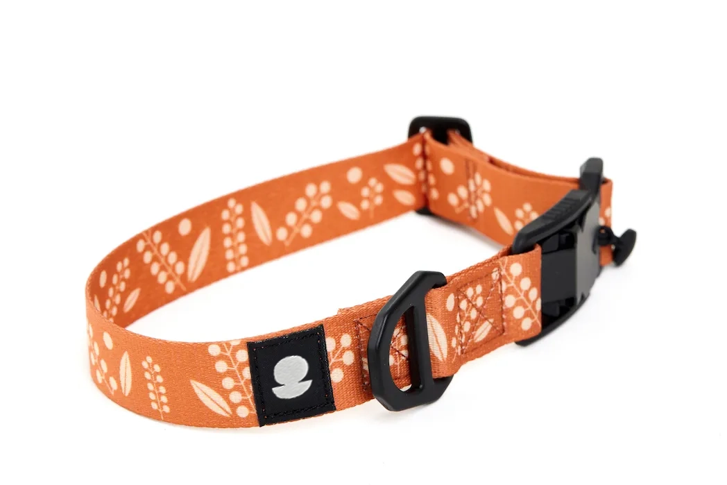The Field Trip Collar