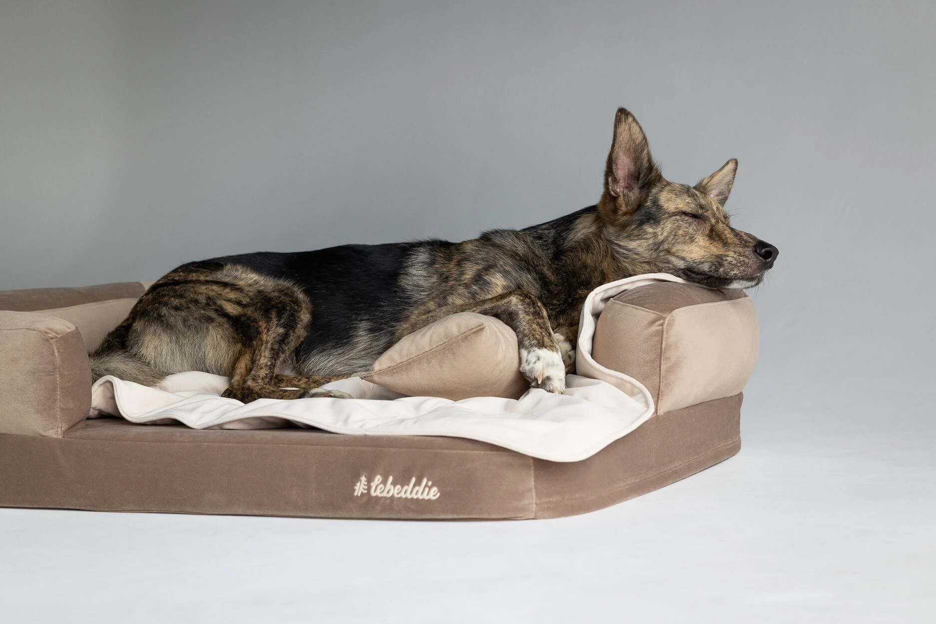 Bernie v Hnedej Útulni s o SMotanovou dekou a vankúšmi