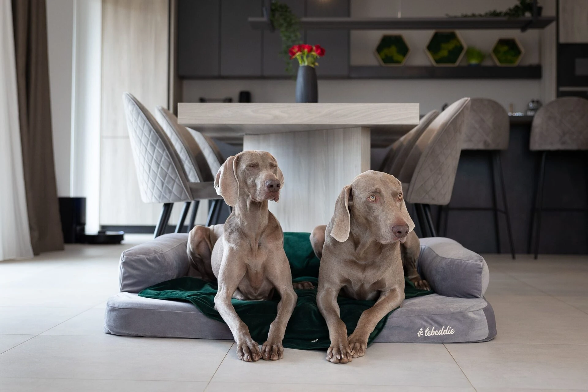 Svivá Rozhladňa s dvoma Weimarmi