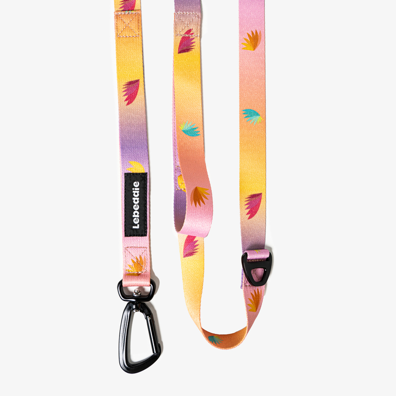 Custom Leash