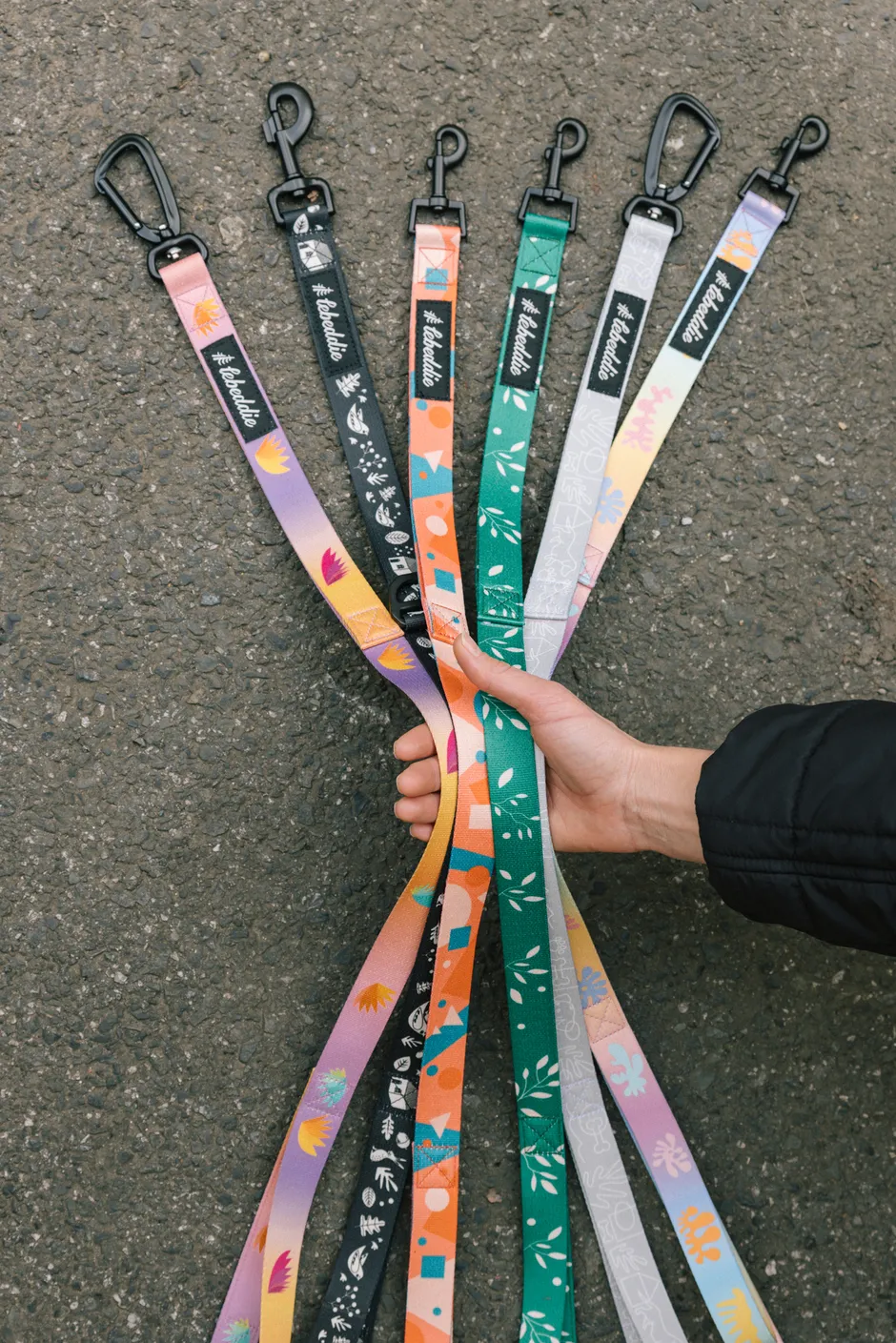 lebeddie vôdzky a obojky