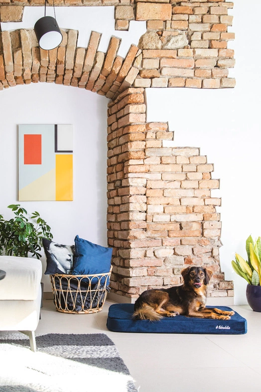 Eddie oddychuje na Modrej Čistinke