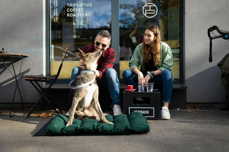 Bernie getting comforted on a green travel bed, while owners drinking coffee