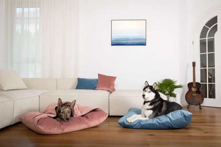 Cushion and cave beds