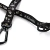 The Black and Night Leash