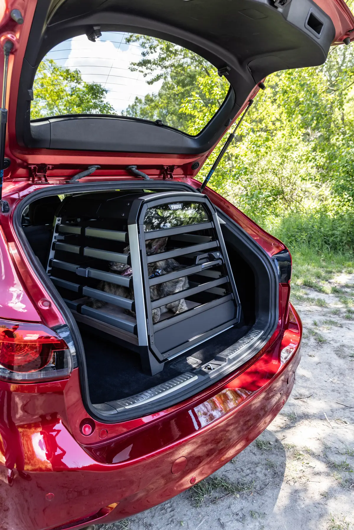 Thule Allax + Lebeddie Flat Bed - Image 9