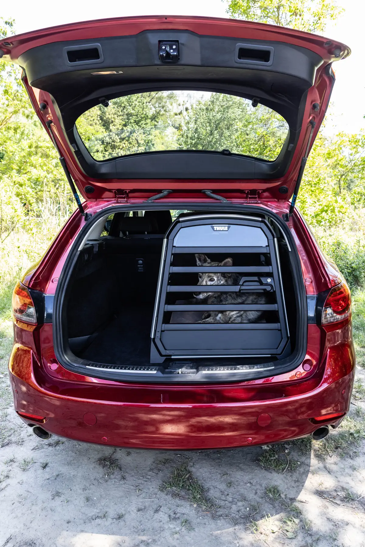 Thule Allax + Lebeddie Flat Bed - Image 8