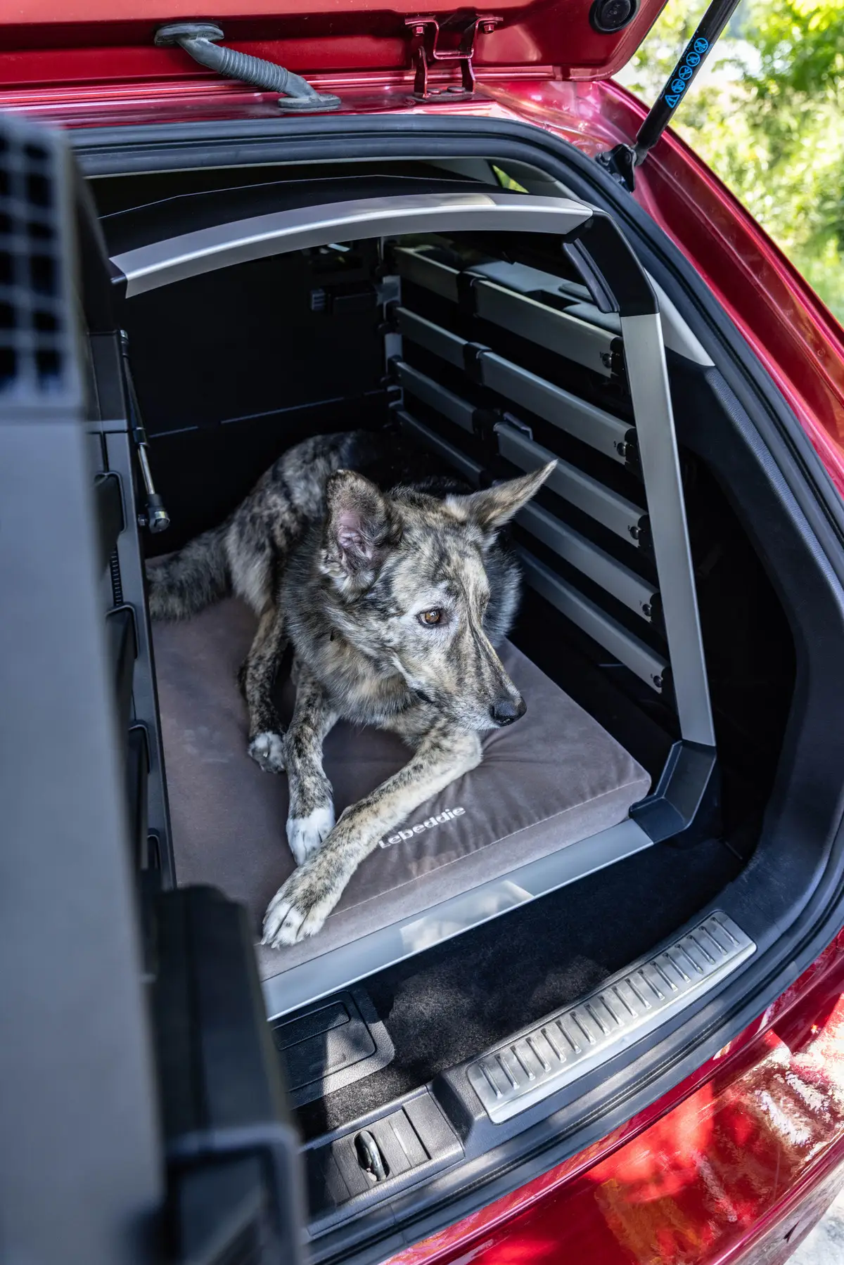 Lebeddie Flat Bed for Thule Allax - Image 11