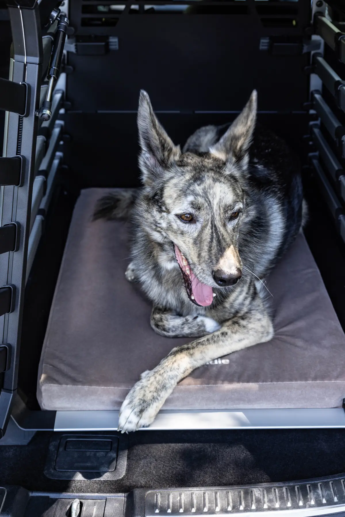 Lebeddie Flat Bed for Thule Allax - Image 12