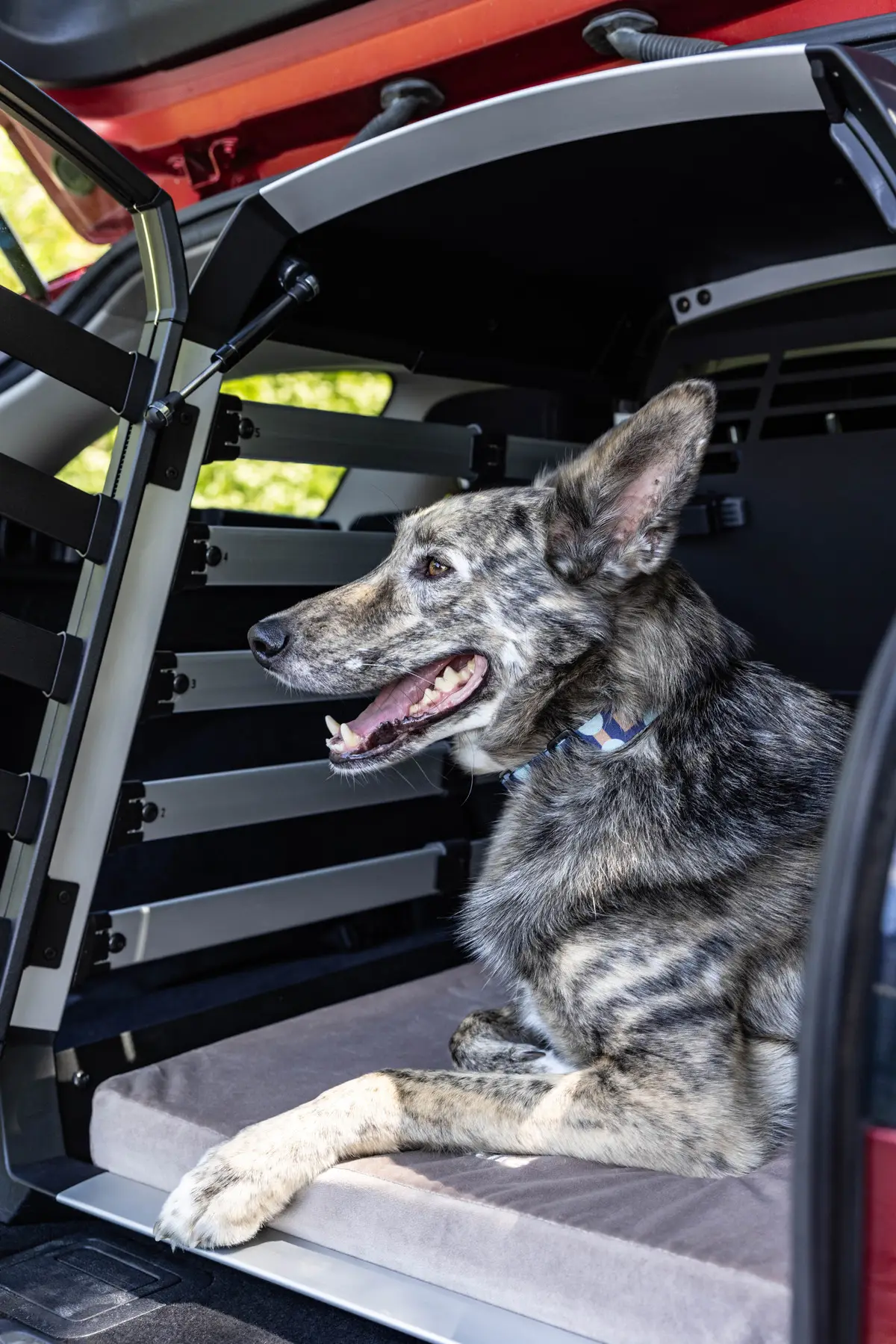 Thule Allax + Lebeddie Flat Bed - Image 12