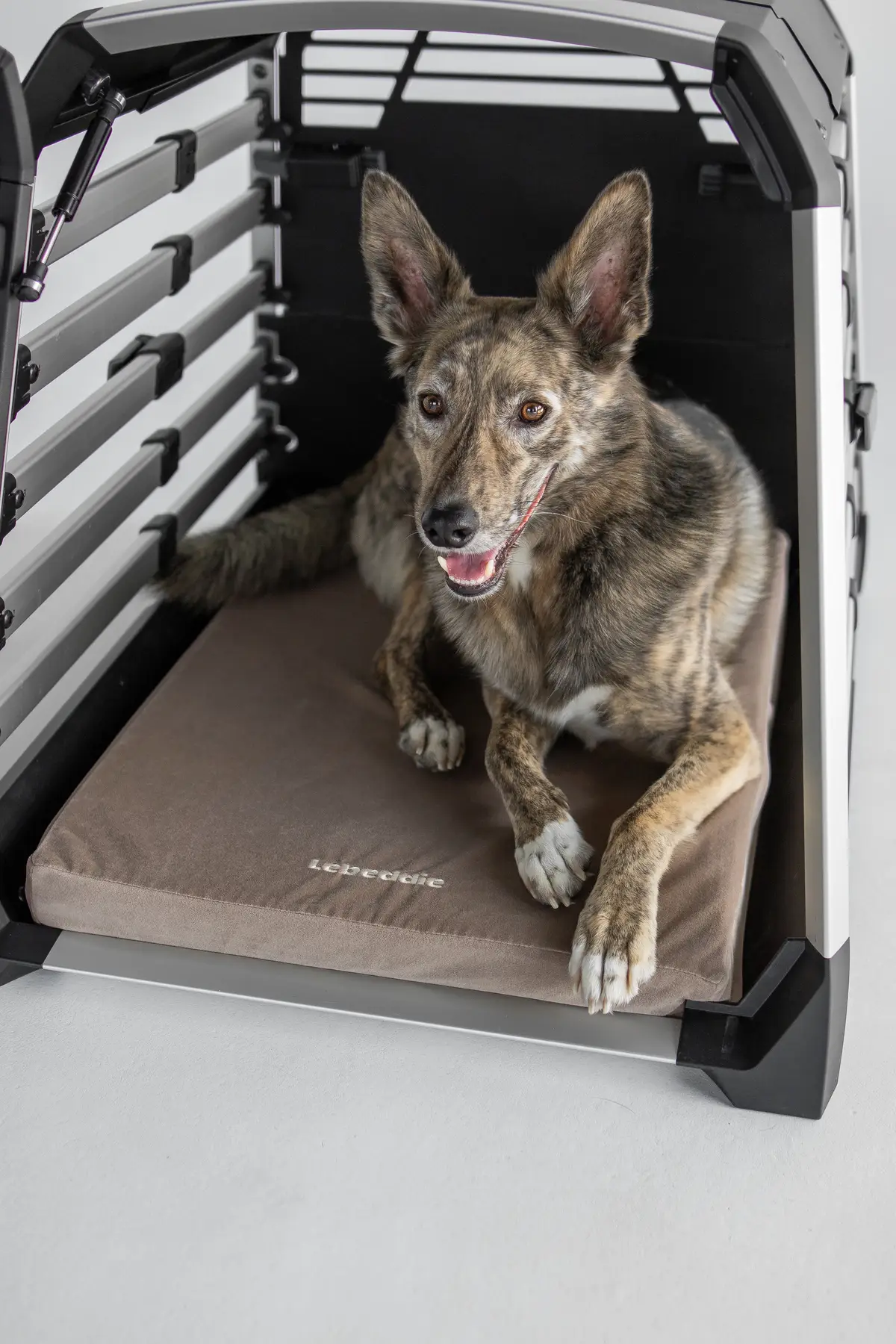 Lebeddie Flat Bed for Thule Allax - Image 7