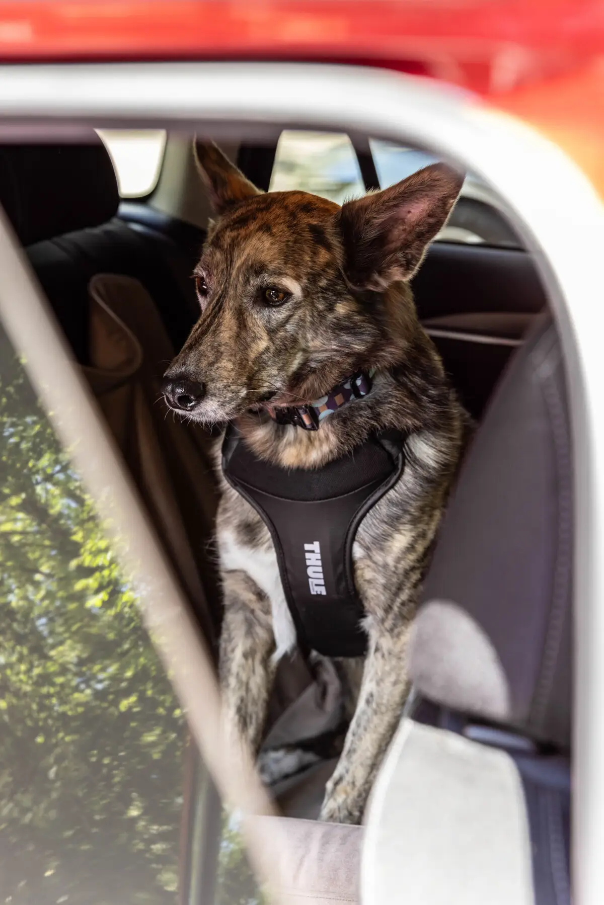 Thule Cappy - Image 10