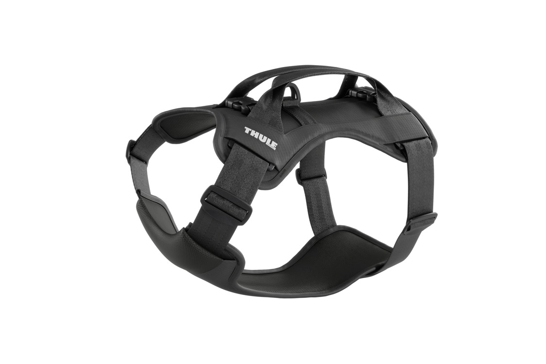 Thule Cappy