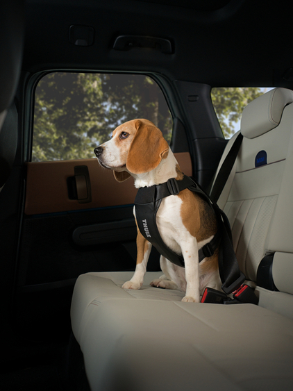 Thule Cappy - Image 17