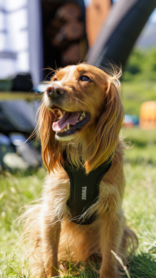 Thule Cappy - Image 19